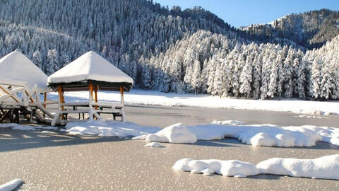 Himachal Pradesh Tourism Development Corporation Ltd Cuffe Parade Colaba Tour Operators In Mumbai Justdial Read hotel reviews and choose the best hotel deal for your stay. himachal pradesh tourism development