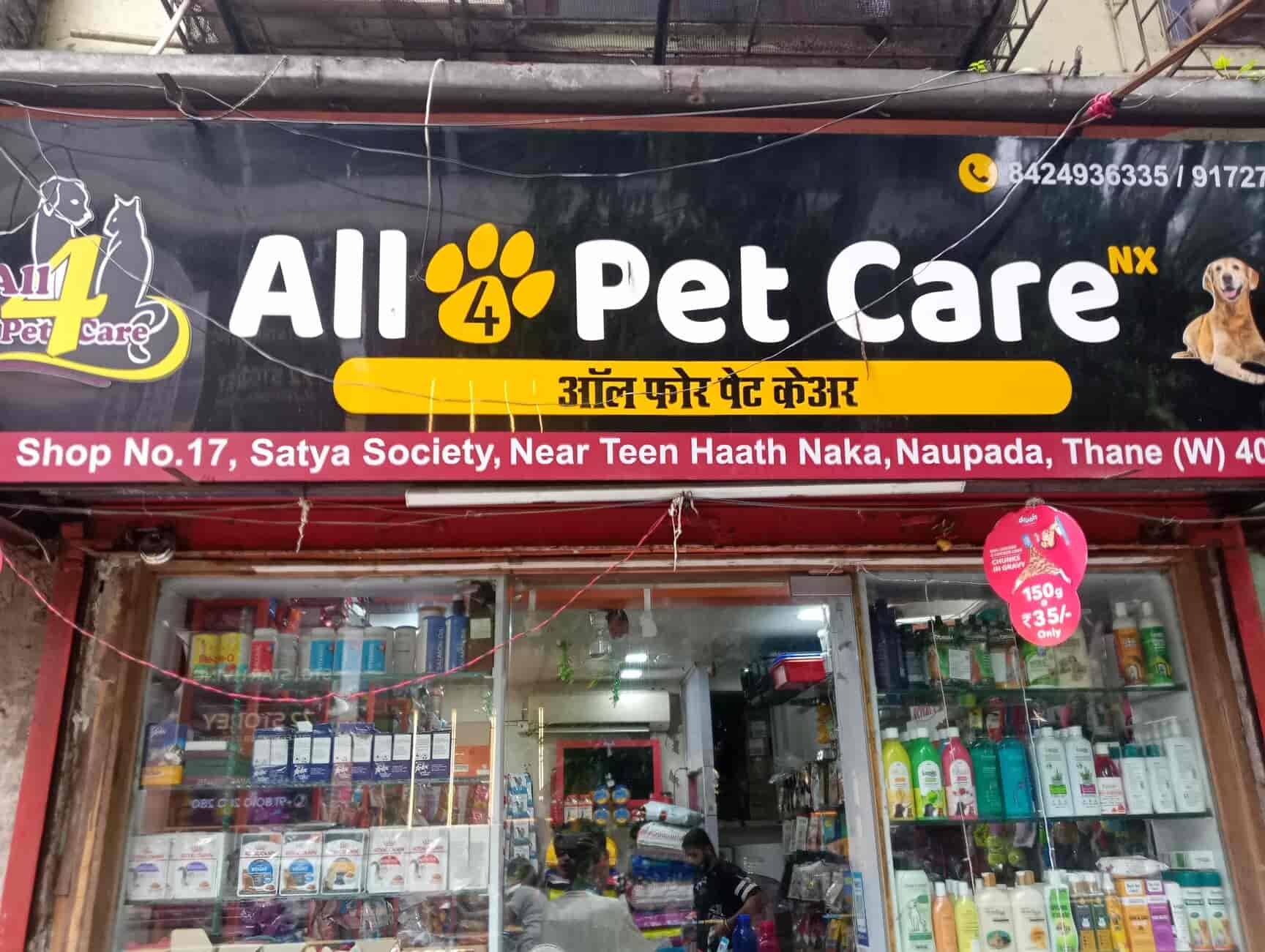 Dog care shop best sale