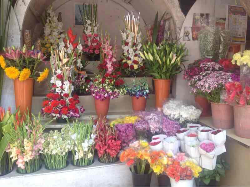 Flower Supplier In Baguio Best Flower Site