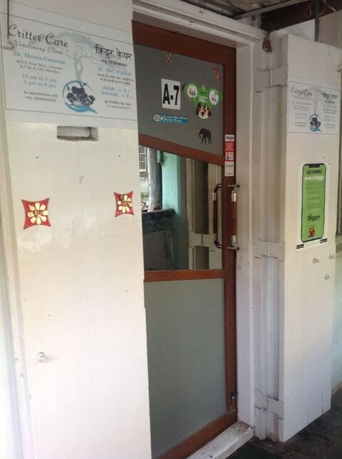 critter care animal clinic