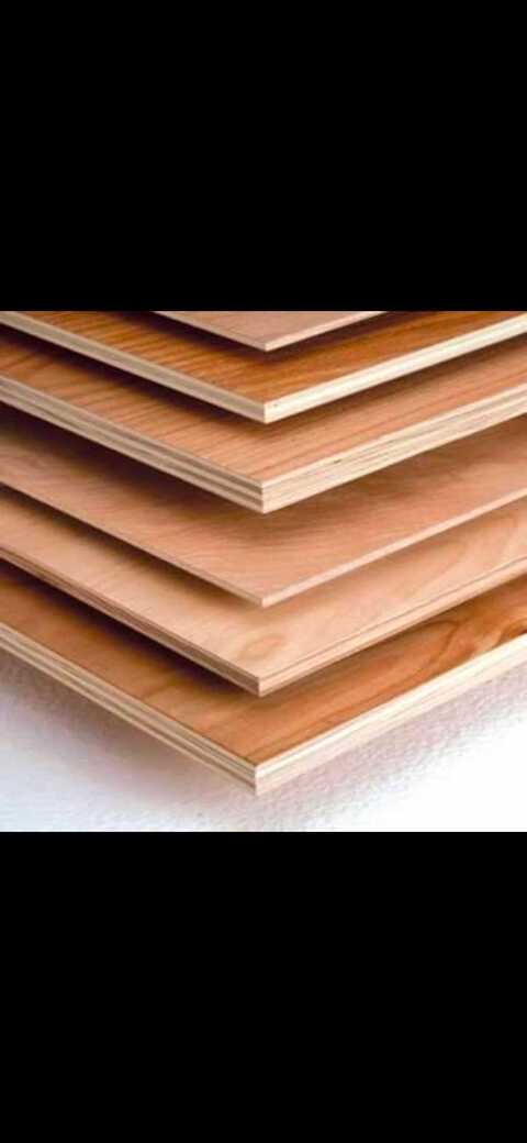 Pine Wood Goregaon East Plywood Dealers In Mumbai Justdial Pine Wood Goregaon East Plywood Dealers In Mumbai Justdial
