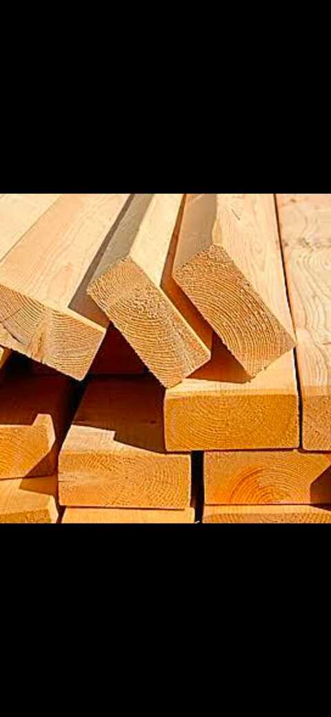 Pine Wood Goregaon East Plywood Dealers In Mumbai Justdial Pine Wood Goregaon East Plywood Dealers In Mumbai Justdial