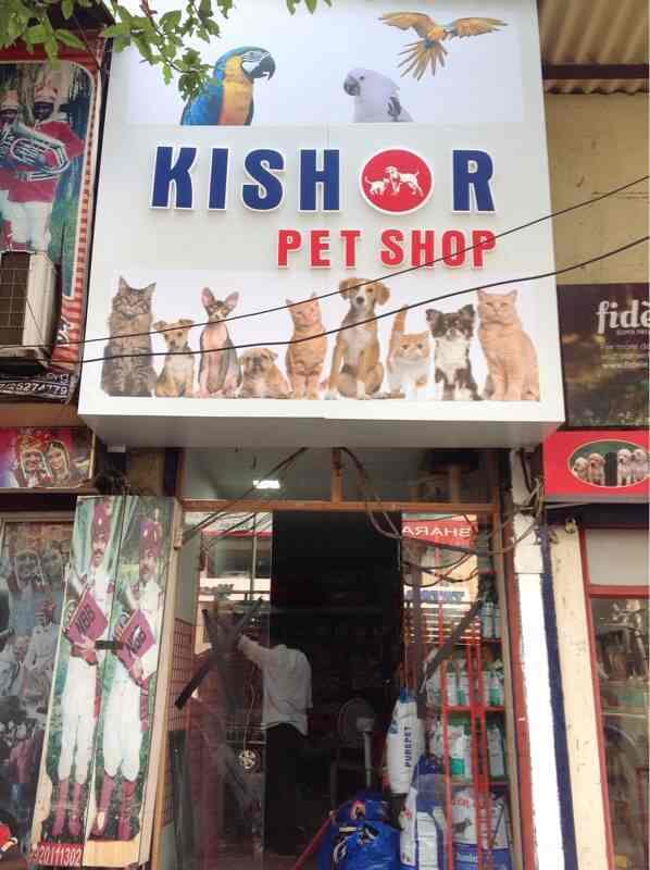 Kishor Pet Shop Chembur East Pet Shops In Mumbai Justdial Hi guys in this vlog i will be showing you the best dog cafe of mumbai and there are many different breeds of dogs that you will.