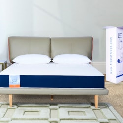 flo mattress pillow