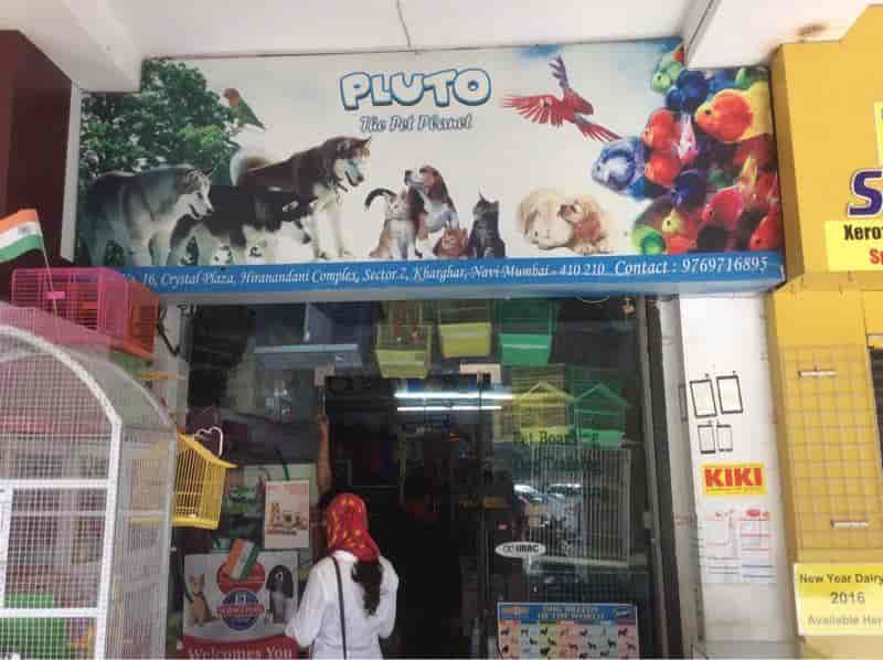 pet shop in kharghar