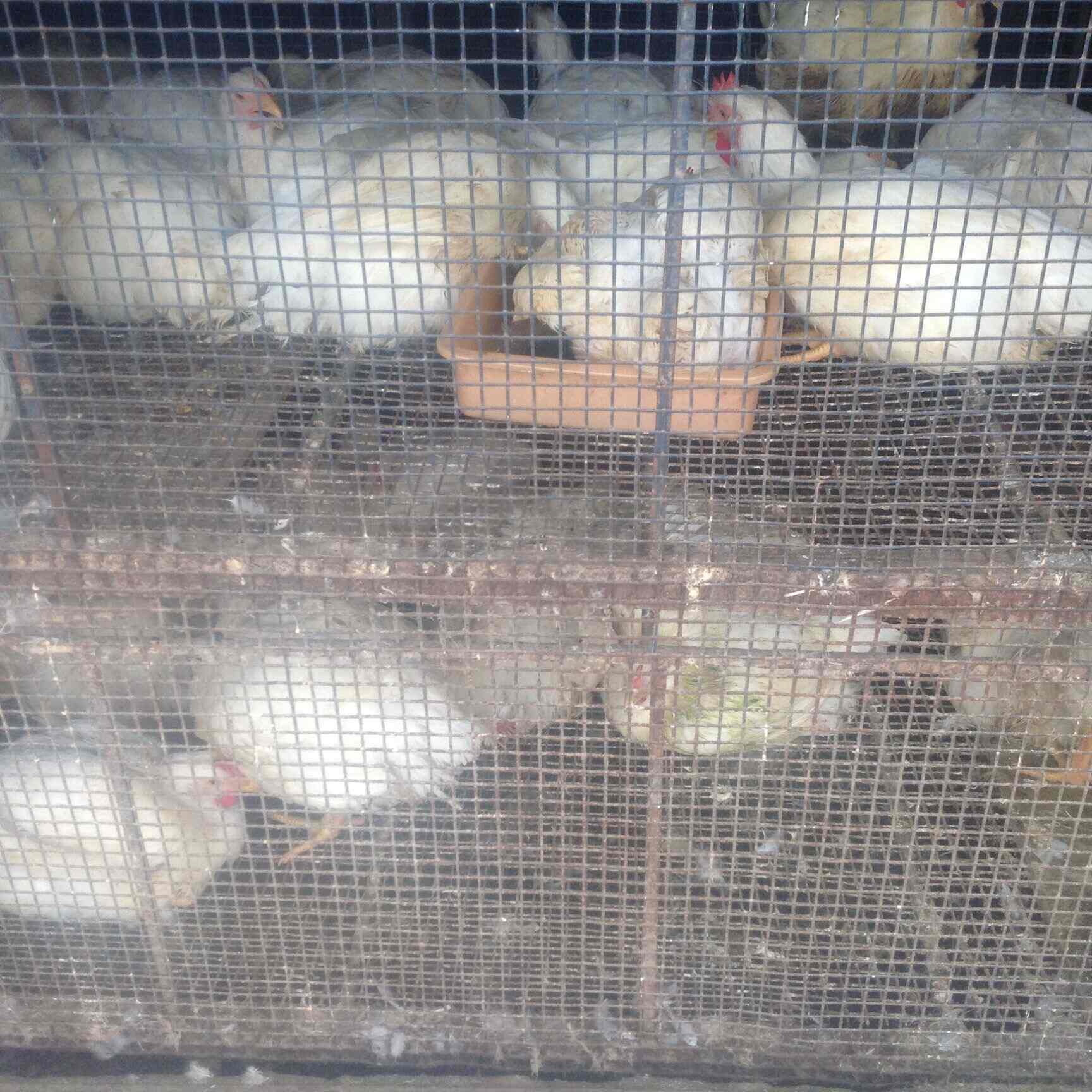 air force station madh island