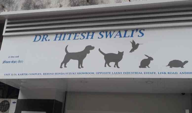 Dr Hitesh Swali Swali Pets Clinic Veterinary Doctors Book Appointment Online Veterinary Doctors In Andheri West Mumbai Justdial