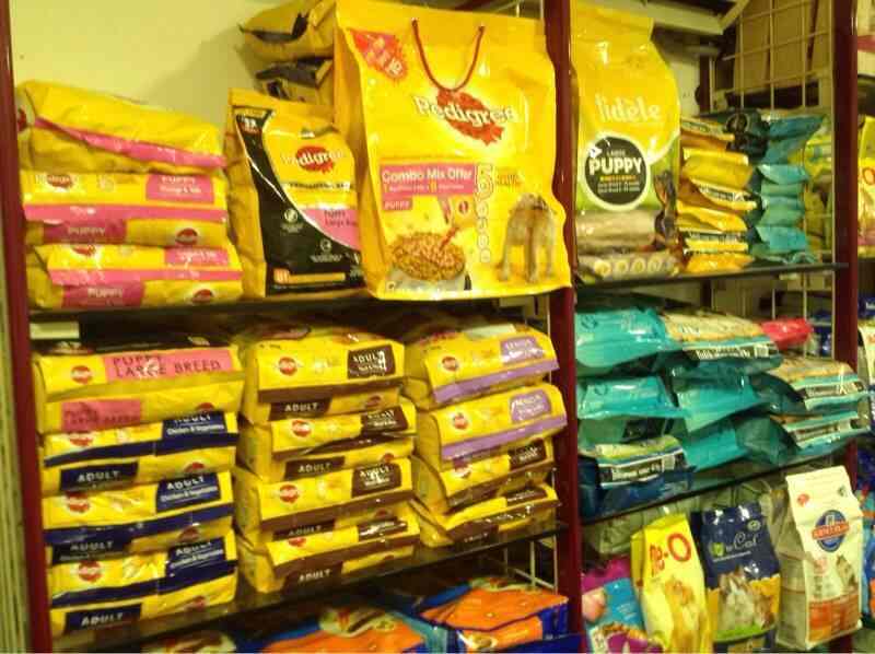 Dog shop hot sale in chembur