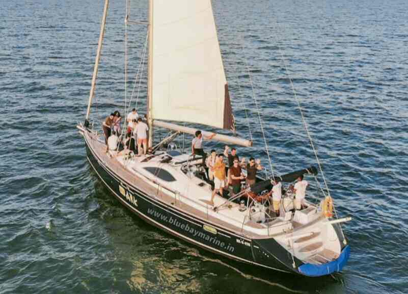 Blue Whale Water Sports Colaba Corporate Companies In Mumbai Justdial Blue whale defined and explained with descriptions.