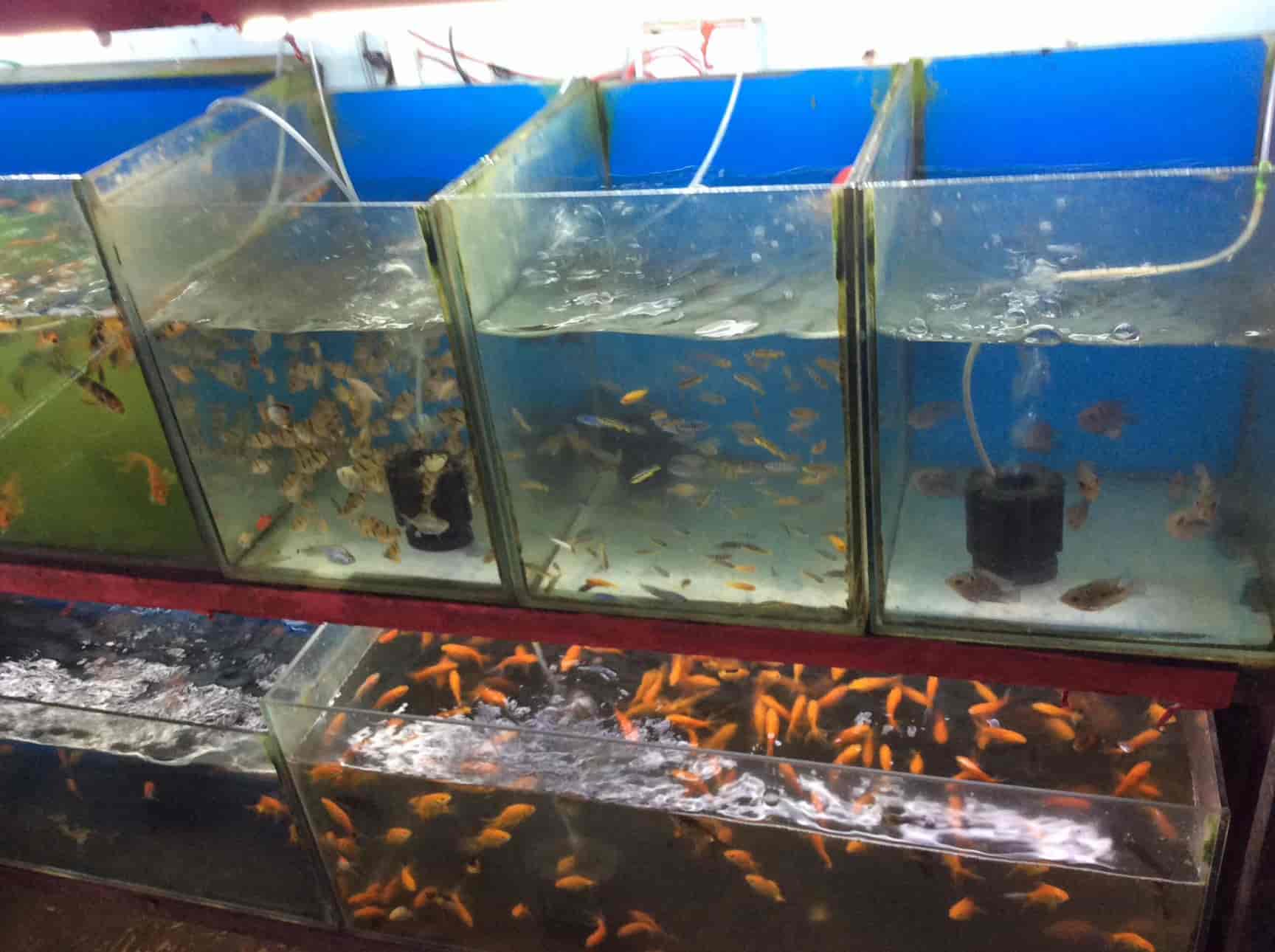 aquarium shops in kurla