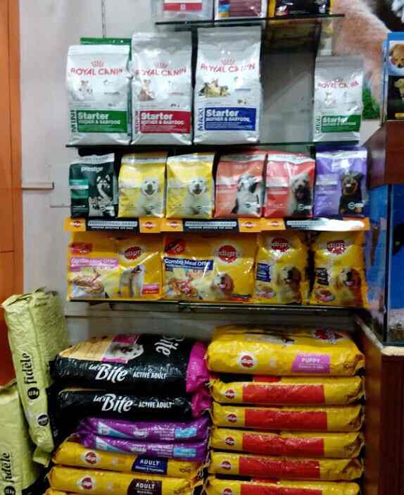 pet shop in kharghar