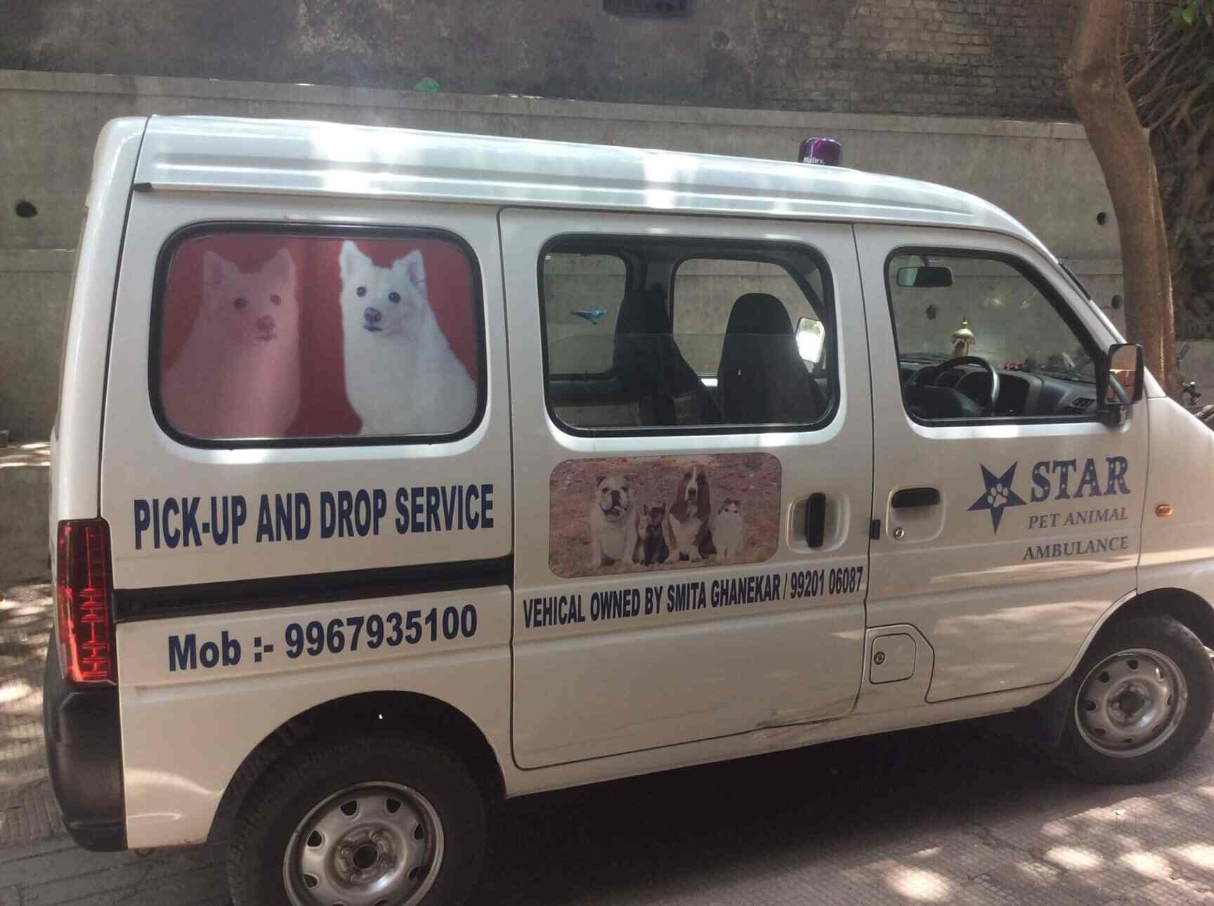 Star Pet Animal Ambulance Jogeshwari East Pet Ambulance Services In Mumbai Justdial