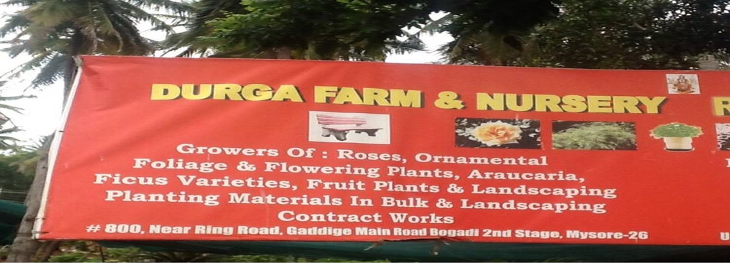 Durga Farm Nursery Bogadi Plant Nurseries In Mysore Justdial