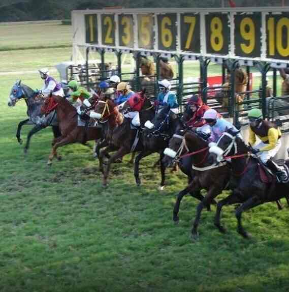 Mysore Race Club Ltd Ittigegud Artificial Turf Dealers In Mysore Justdial The mysore race club is quite small, with its membership running into 250. mysore race club ltd ittigegud