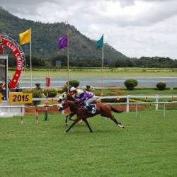 Mysore Race Club Ltd Ittigegud Artificial Turf Dealers In Mysore Justdial It was the erstwhile capital of the wodeyar dynasty and is considered the cultural capital of the state. mysore race club ltd ittigegud