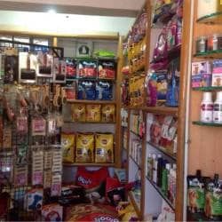 Mysore Golden Kennel, Srirampura - Pet Shops in Mysore - Justdial