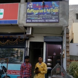 Deekshitha Pet Shopee, Ayodhya Nagar - Pet Shops in Nagpur - Justdial