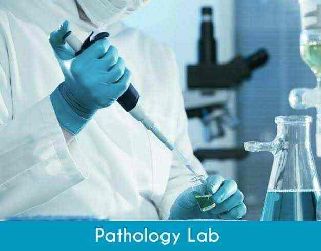Lab view 2