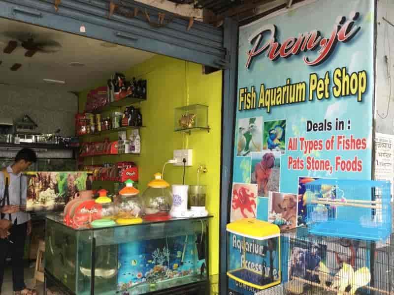 Premji Fish Aquarium And Pet Shop, Siraspeth - Pet Shops in Nagpur