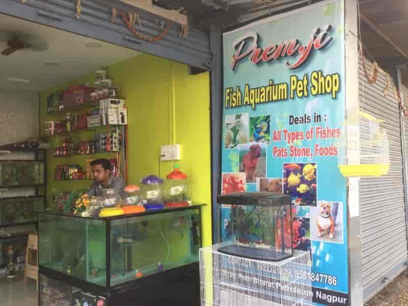 Premji Fish Aquarium And Pet Shop, Siraspeth - Pet Shops in Nagpur