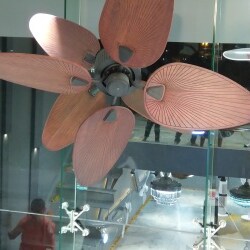Aera Designer Fans By Bright Electricals Mumbai Naka Fan