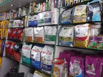 pet shop in kharghar