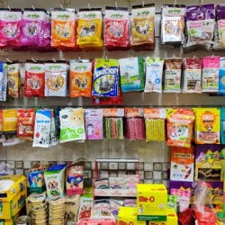 pet shop in kharghar