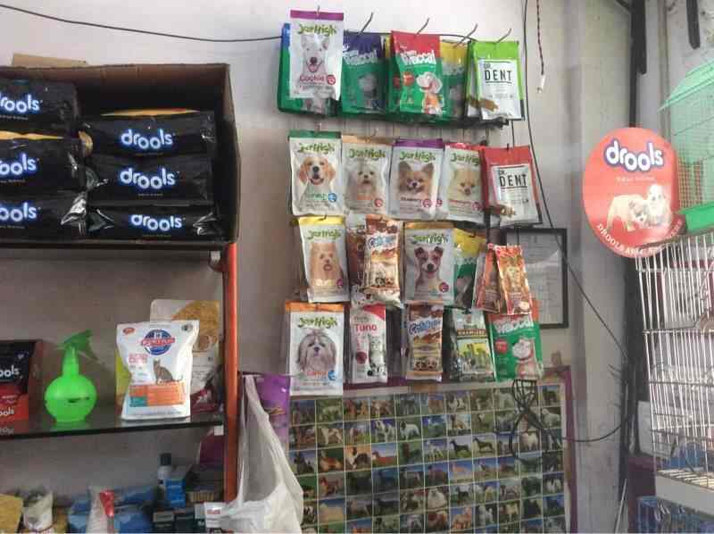 pet shop in kharghar
