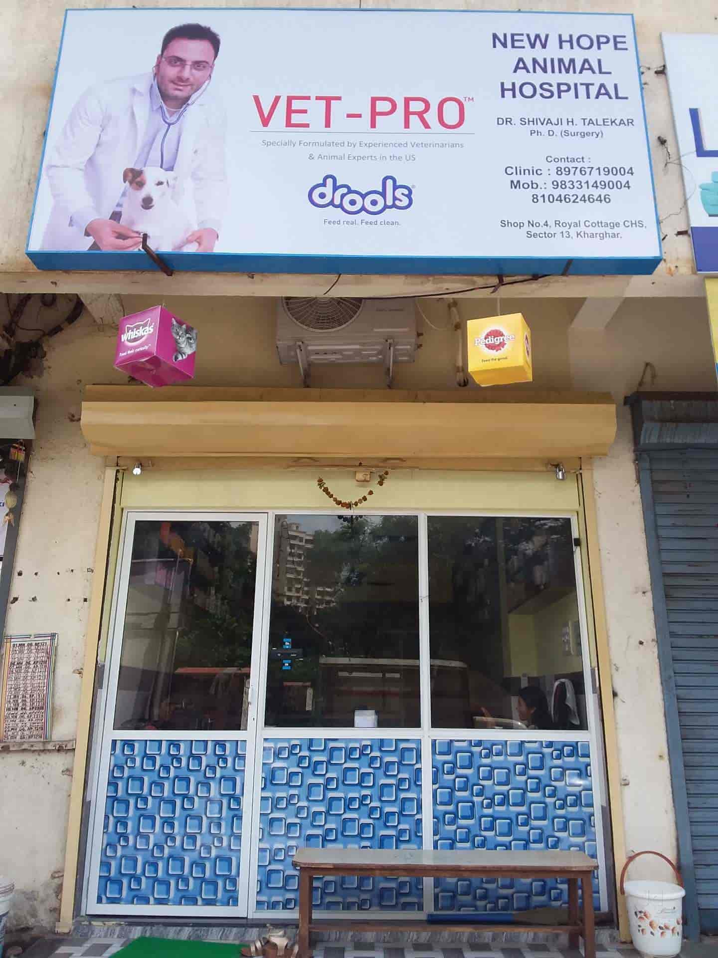 Kuala Lumpur 24hr Dog Hospital Kuala Lumpur Vet Clinic After Hours