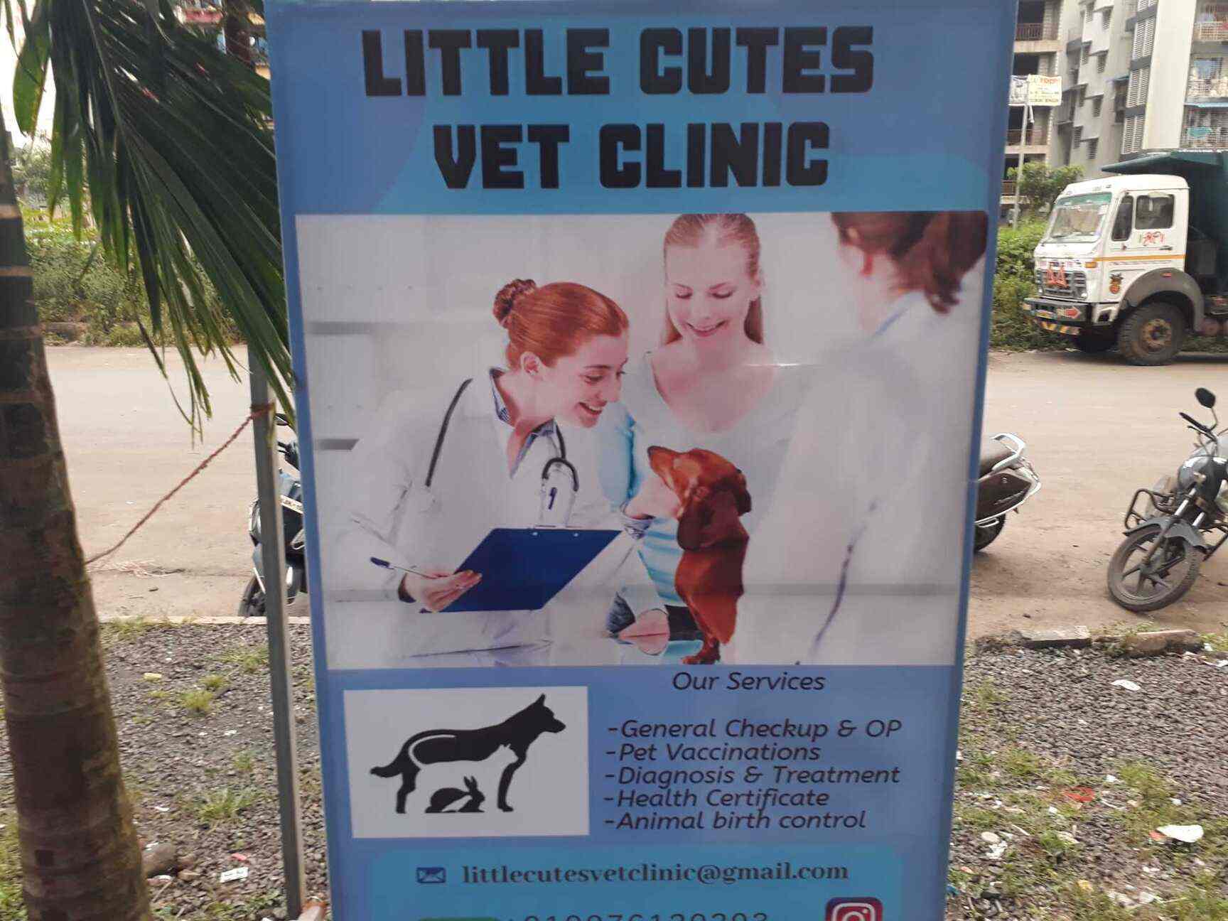 Little Cutes Vet Clinic Veterinary Clinics Book Appointment