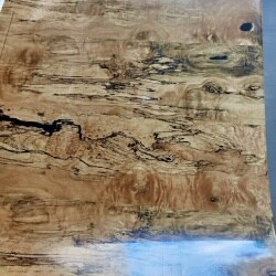 G Interior Designers, Stonehousepet - Interior Designers in Nellore