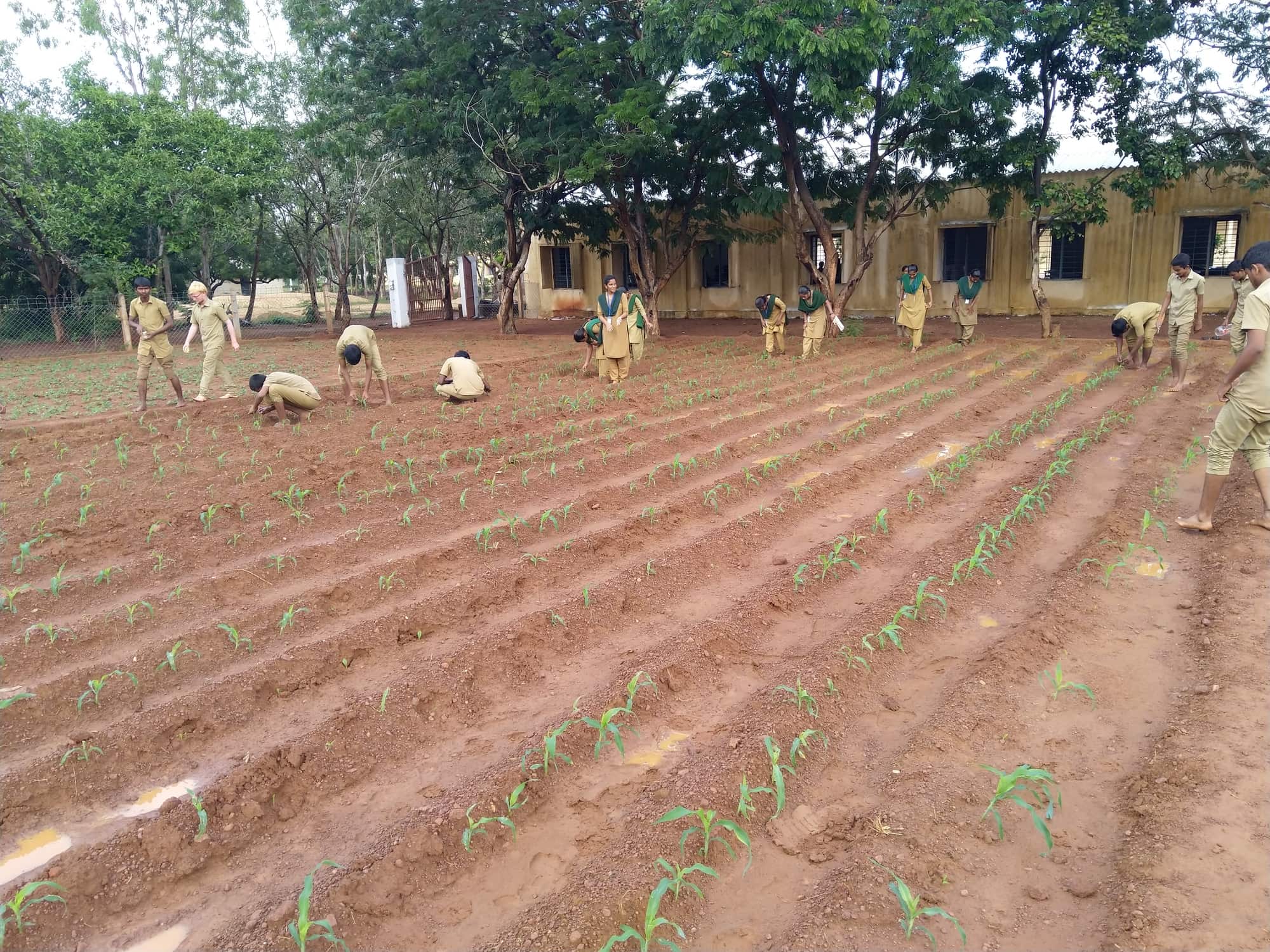 Nbkr Institute Of Science & Technology in Vidyanagar,Nellore - Best  Universities near me in Nellore - Justdial