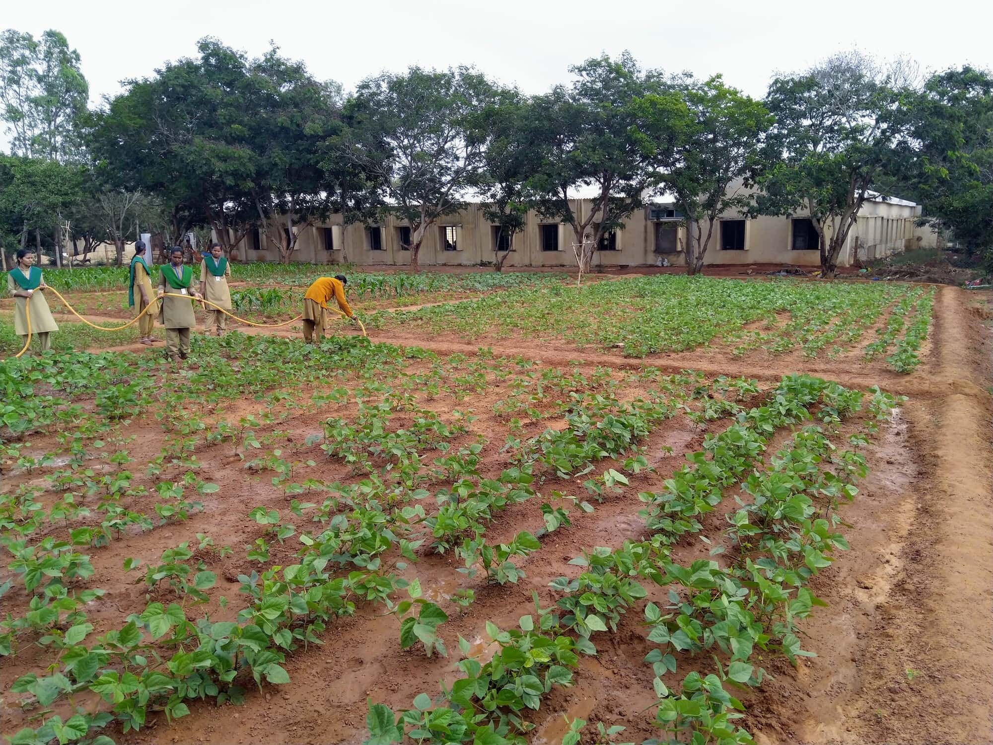 Nbkr Institute Of Science & Technology in Vidyanagar,Nellore - Best  Universities near me in Nellore - Justdial