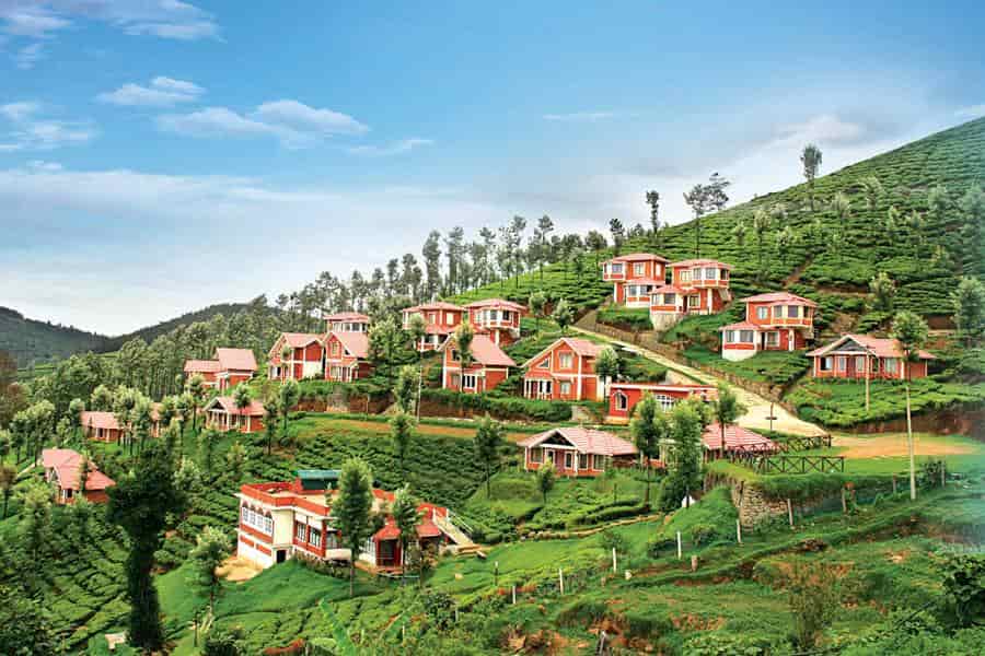 Starts at ₹3,500/night* - Book United 21 Paradise in Naduvattam,Nilgiri - Best 3 Star Hotels near me in Nilgiri - Justdial