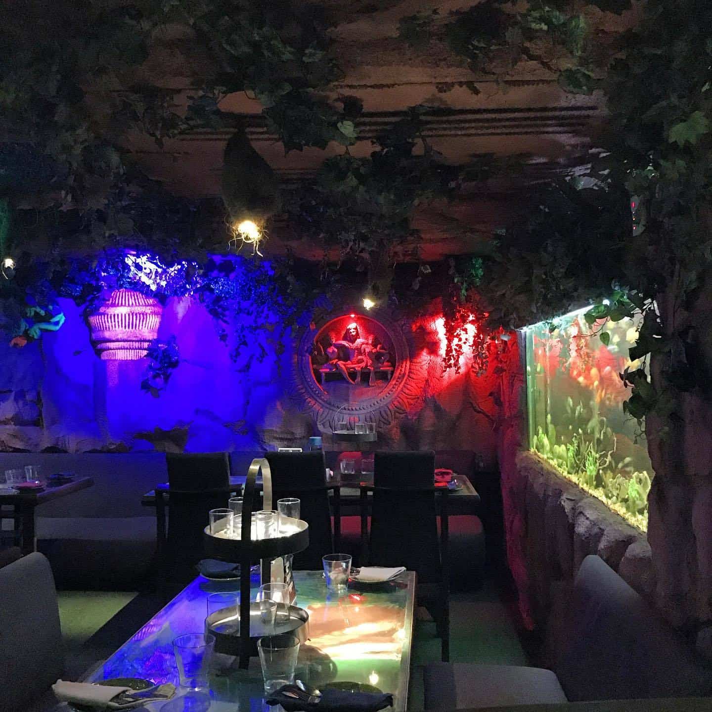 Walk In The Woods Noida Sector 18 Delhi Multicuisine Indian Cuisine Restaurant Justdial