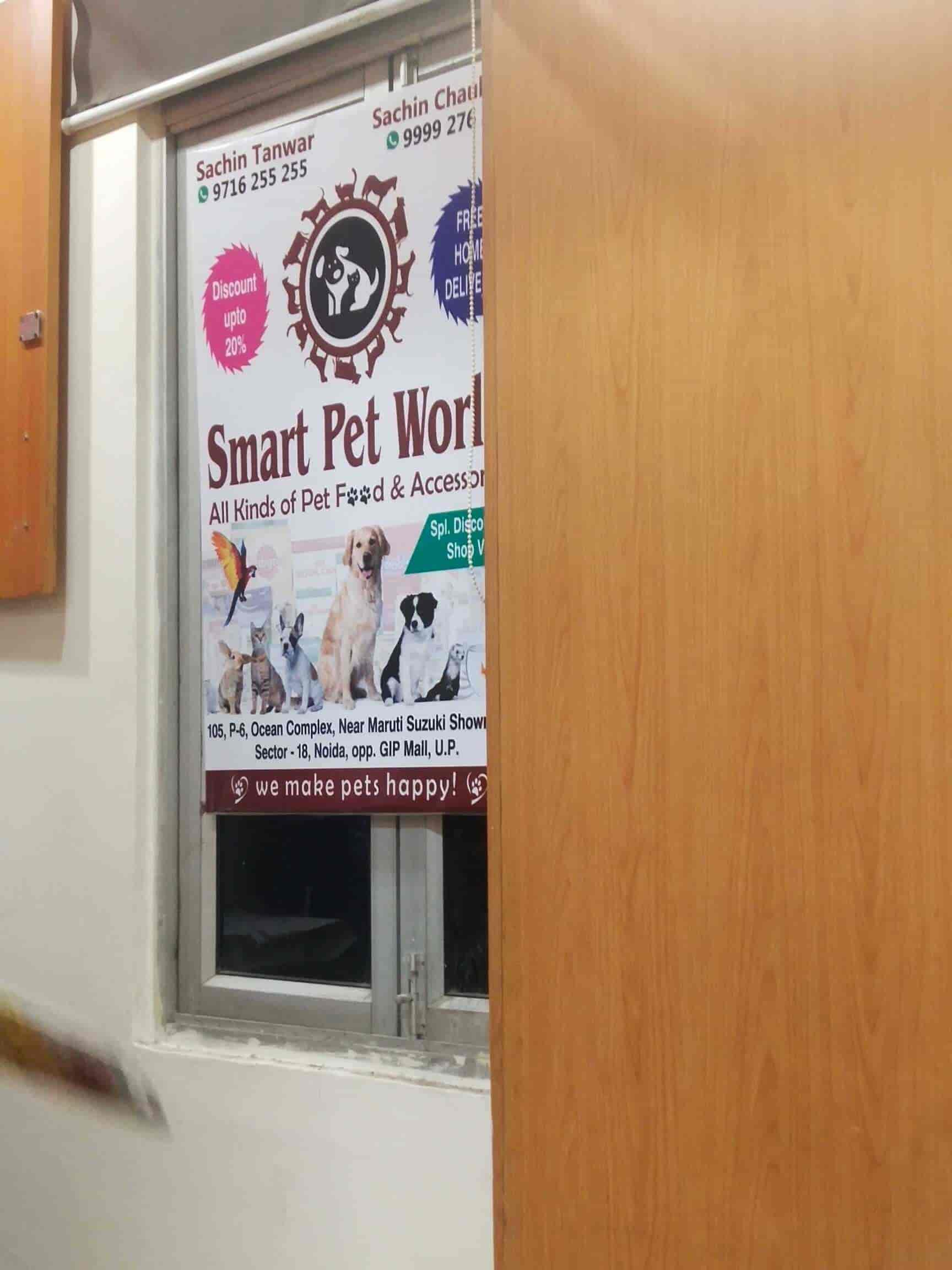 discount pet world