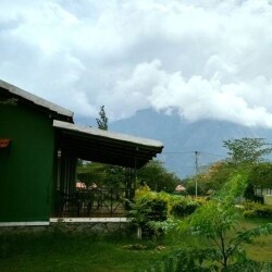 Mountain View Hil Side Resort Masinagudi Hotels In Ooty Justdial
