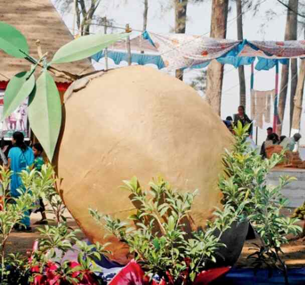 Bordi Chikoo Festival Bordi Social Service Organisations In Palghar Mumbai Justdial A group of eight farmers in dahanu have developed infertile, eroded land.