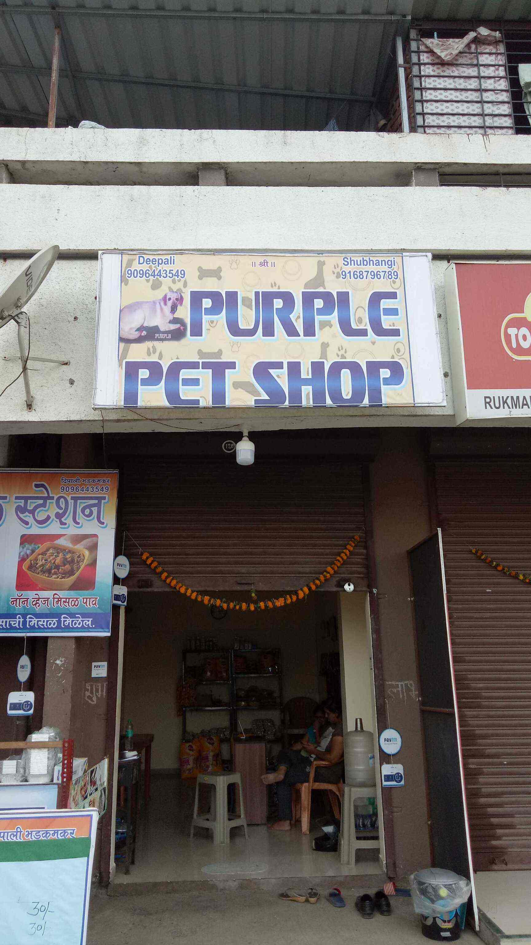 Purple Pet Centre atelieryuwa.ciao.jp