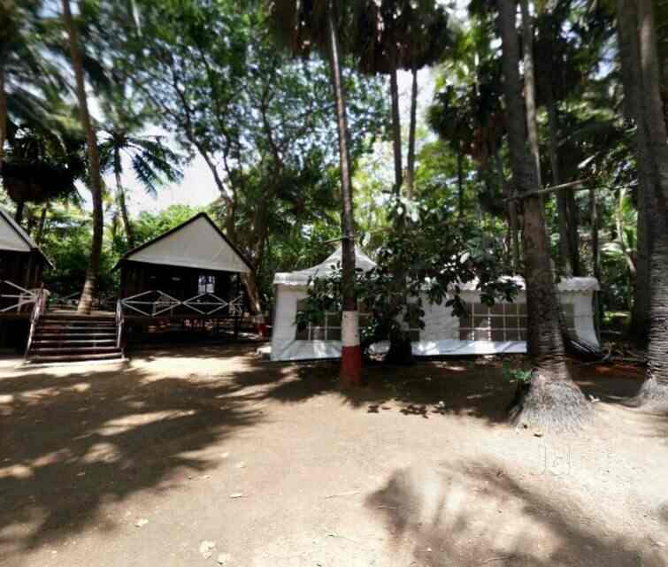 The Kelva Beach Resort Palghar Hotels In Palghar Mumbai Justdial