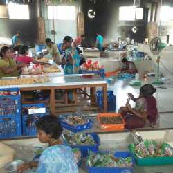New Sks Cottage Industry Thattampalayam Food Product