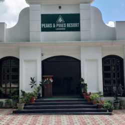 Peaks Pines Resort Lansdowne Hotels In Pauri Justdial