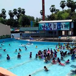 Pogoland Pattanur Water Parks In Pondicherry Justdial pogoland pattanur water parks in