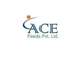 ace ltd