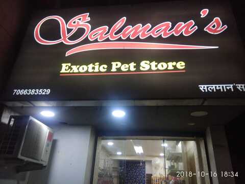 salman exotic pets
