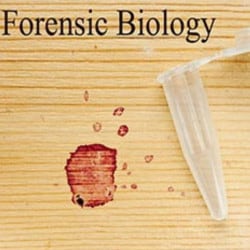 Central Forensic Science Laboratory Kharadi Forensic Laboratories In Pune Justdial There are several areas of concentration, many offering a graduate certificate or master's degree option. central forensic science laboratory