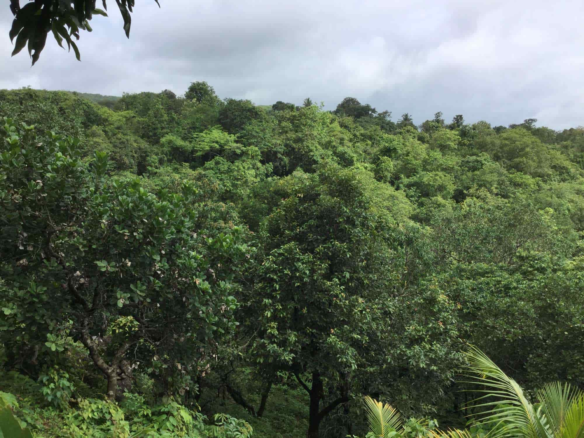 Selva Developer Akurdi Land Developers In Pune Justdial Selva Developer Akurdi Land Developers In Pune Justdial