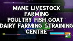 Mane Livesstock Farming Pvt Ltd Photos, Khadakwasla Research Station, pune - Goat Farming