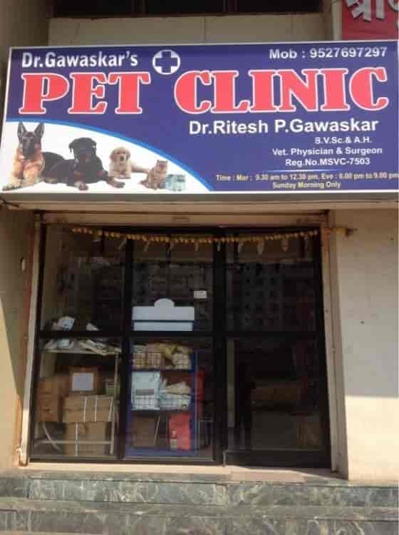 Veterinary Doctor Vets Open Weekends Near Me Veterinary Doctors