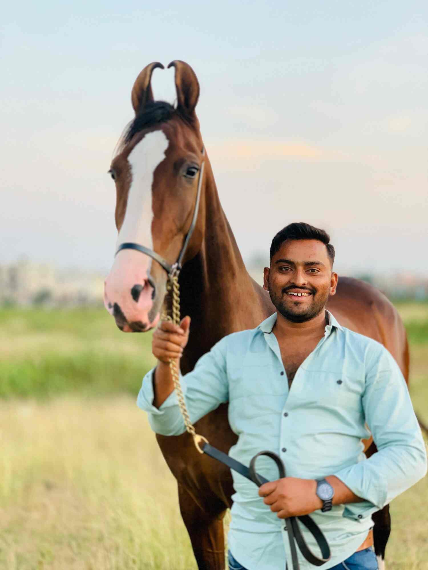 7 Photos of The Royal Stud Farm in Adinath Colony, Pune - Justdial